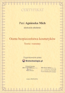 dyplom_ocena_bezpieczenstwa