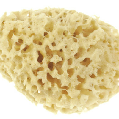 naturalna gąbka morska do kąpieli prod